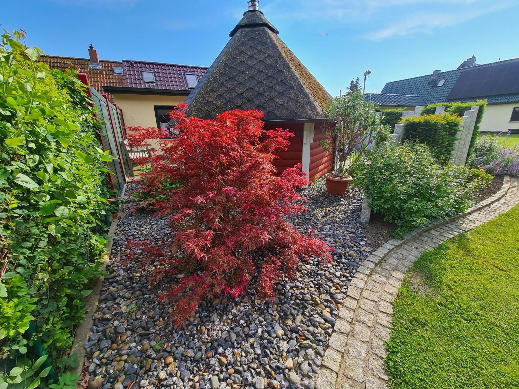 Ferienhaus Saupe ชาโพรเดอ ภายนอก รูปภาพ
